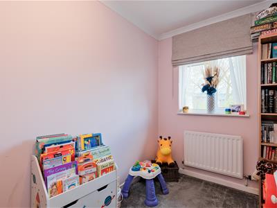 Picture 33